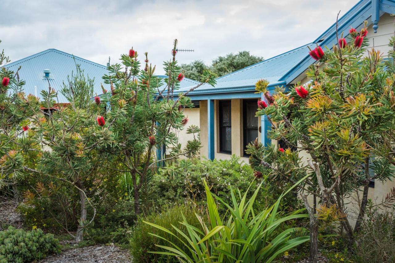 Cosy Corner By The Bnb Collection Albany Exterior photo